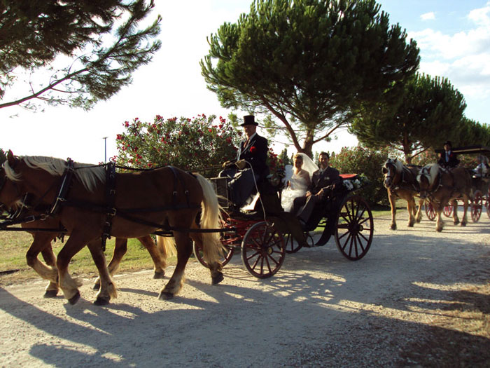 mariage images nimes